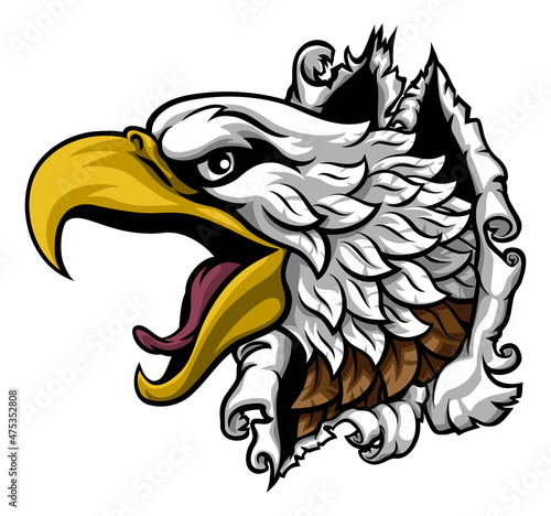 Eagle Hawk Face Head Rippin...