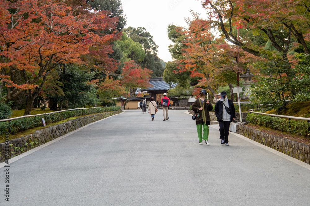 Naklejka premium 京都観光金閣寺