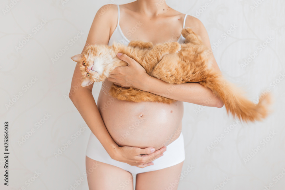 Pregnant woman in white underwear with cute ginger cat. Woman expecting a baby. Risk of infection toxoplasmosis. - obrazy, fototapety, plakaty 