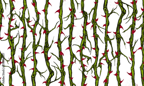 Hand drawn vector seamless pattern of vertical briar patch with stems and thorns. photo
