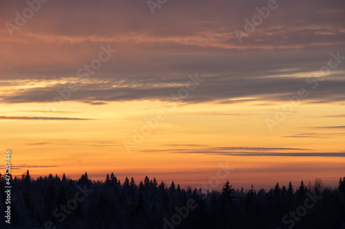Winter sunset over the trees with space for text