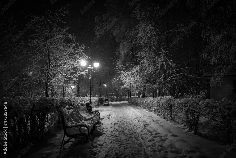 winter path at night in a snow-covered park among benches, trees and lanterns