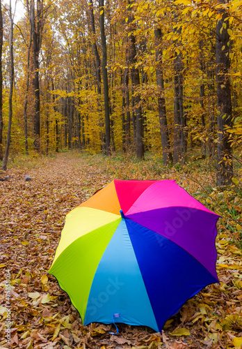 Colorful umbrella lying on yellow leafs in autumn day © Oleh Marchak