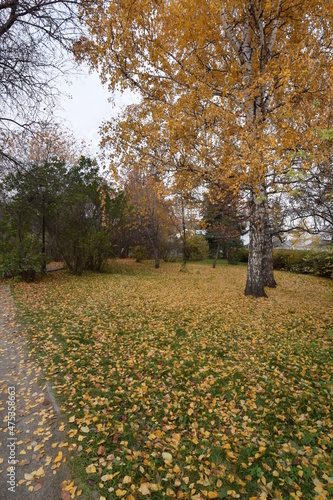 Yekaterinburg, Russia 2021: The central district of the city of Yekaterinburg along the embankment of the Iset River. autumn landscape with doves