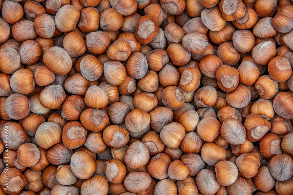 Photo of hazelnut. Hazelnut nut health organic brown filbert autumn background concept. Food background. Photo of hazelnut. Hazelnut nut health organic brown filbert autumn background concept. Food background.