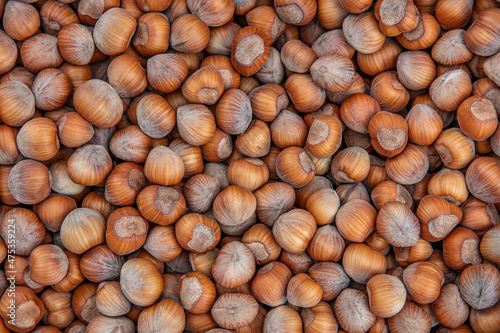 Photo of hazelnut. Hazelnut nut health organic brown filbert autumn background concept. Food background.