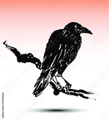 Crow on a branch. Japanese style traditional woodblock printing of ink crow on a branch in watercolor sunset sky.  photo