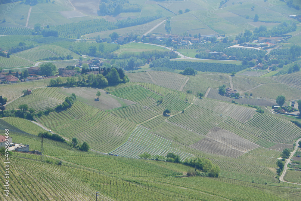 View of Langhe hills with vineyards near La Morra, Piedmont - Italy