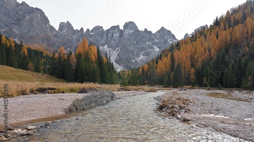 Clear river, autumn forest and hight snowy peaks of Pale di San Martino mountain group at rugged alpine valley and rolling meadow Val Venegia. Dolomite Alps, San Martino di Castrozza, Italy photo