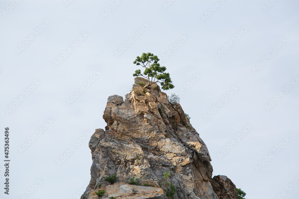 Big rock isolated on white background. This has clipping path