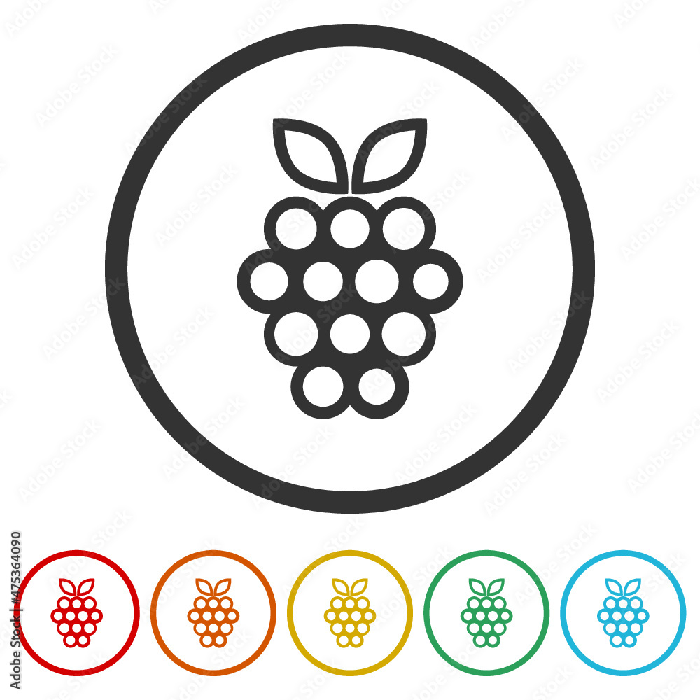 Raspberry in glyph icon design isolated on white background, color set