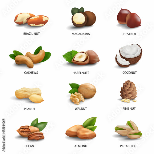 Set of 3d realistic objects icons nuts. Hazelnut, peanut, brazil, macadamia, chestnut, cashew, coconut, peanut, walnut, pine, pecan, pistachio, almond. Vector. Isolated on a white background