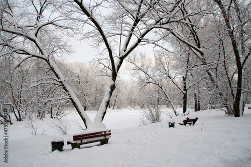 The park benches are covered with snow. Winter in the city park.