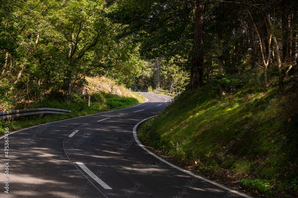 a country road on a sunny afternoon with light backlight with light and shadow play of the trees on the asphalt