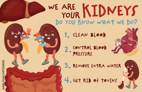 Kidney landscape poster for awareness, checking health, prevention of urology system diseases.