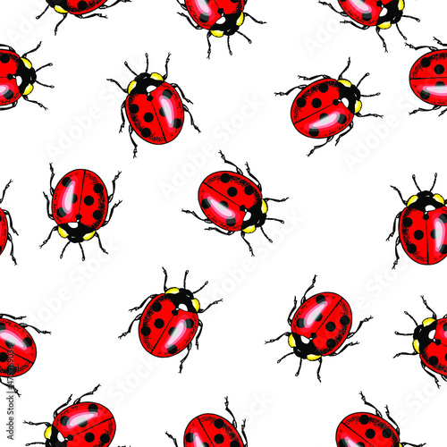 Vector seamless pattern of randomly scattered red ladybugs on white background. © Rrose Selavy