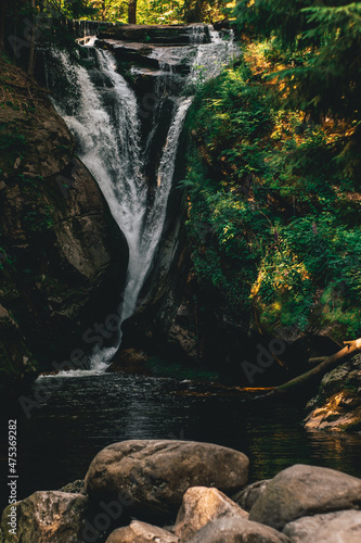 Waterfall in forest