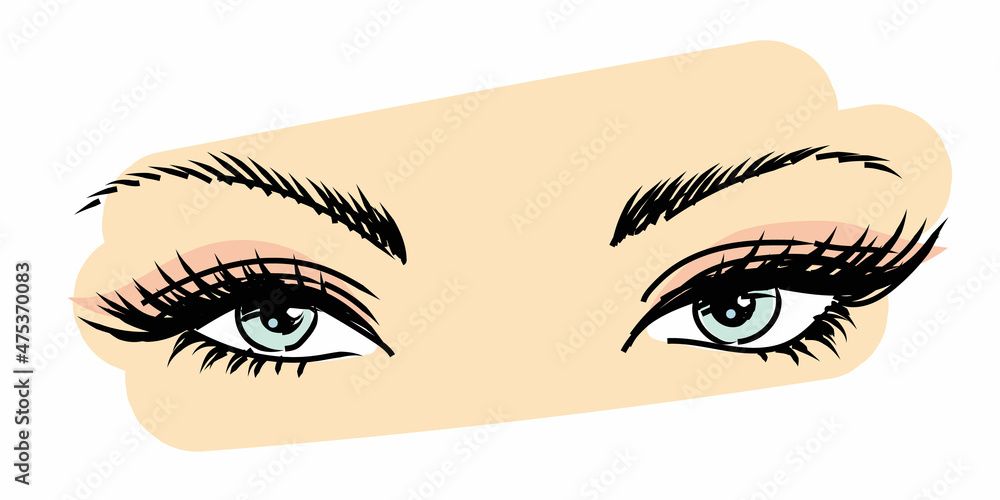 Women's eyes with long eyelashes and eyebrows, hand-drawn. Women's eyes with long eyelashes and eyebrows, hand-drawn.