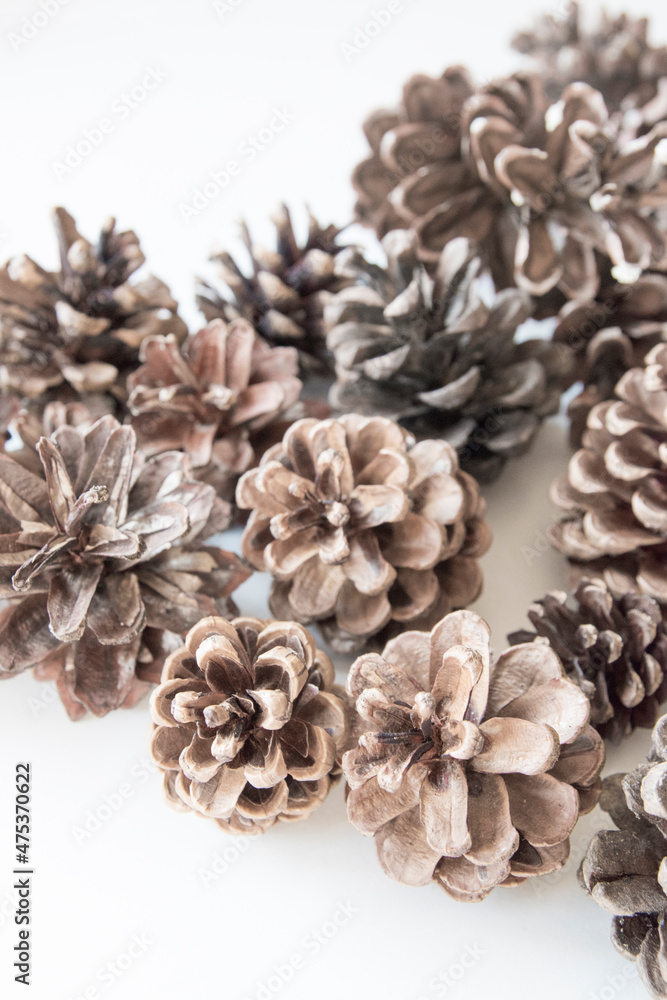 Group of pine cones isolated on white background Group of pine cones isolated on white background