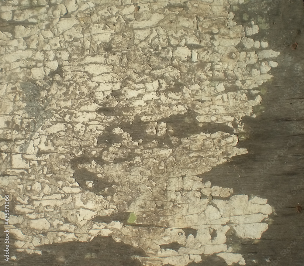 Obraz premium Dirty grunge wooden surface background with old damaged paint