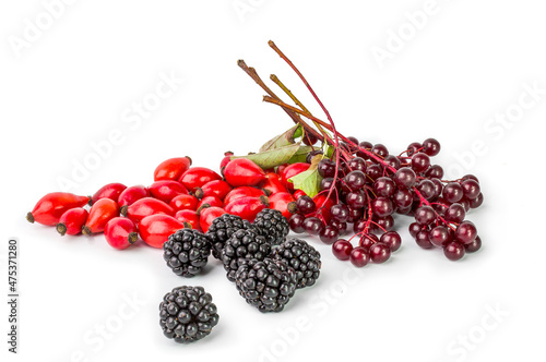 Different type of berry fruits isolated on white background