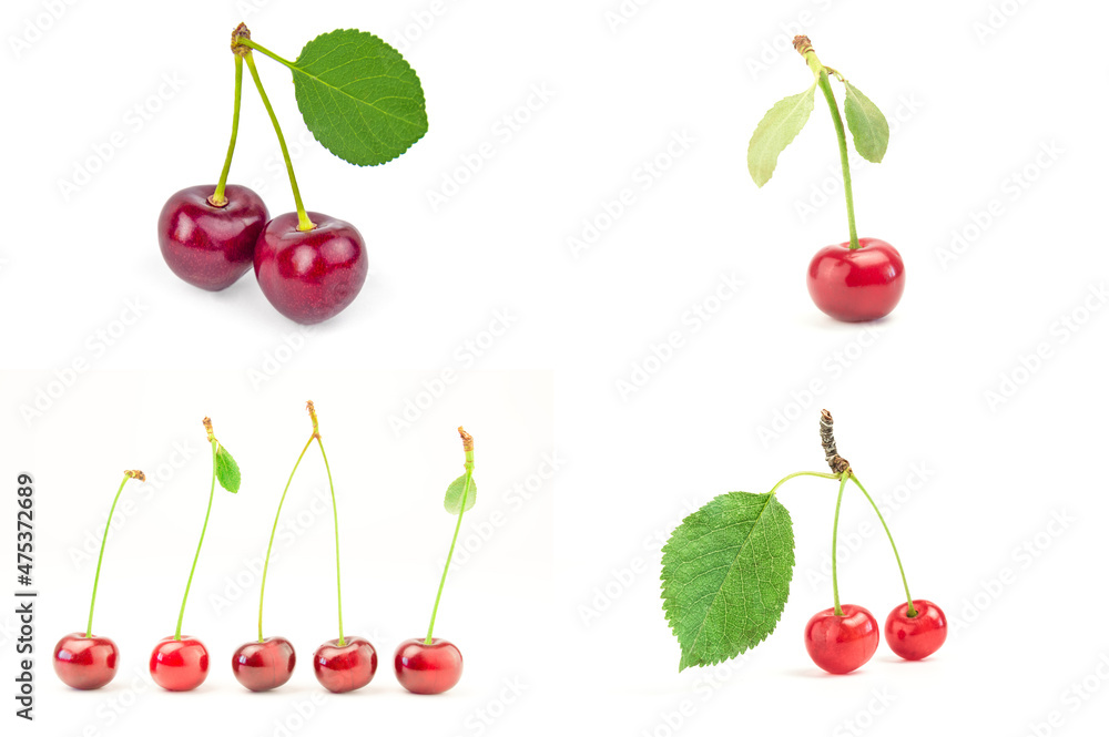Set of Cherry on a white background Set of Cherry on a white background