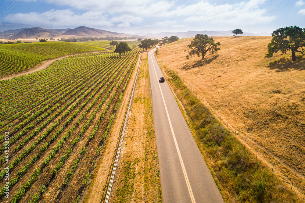 aerial view of vineyards along Happy Canyon Road in the Santa Ynez Valley, California