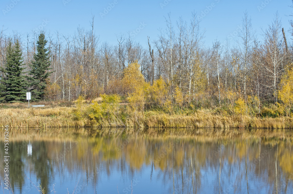 Pylypow Wetlands on a Clear Autumn Day