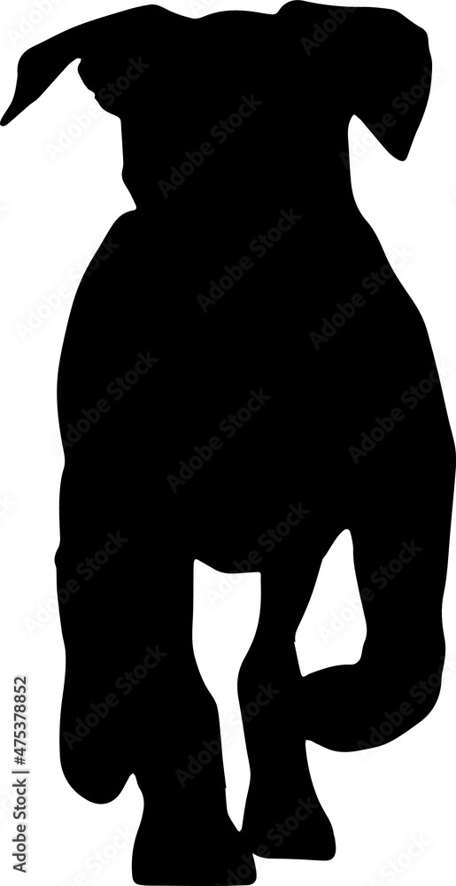 Boxer Dog Silhouettes SVG Boxer Dog Clipart Boxer Dog Silhouettes SVG Boxer Dog Clipart
