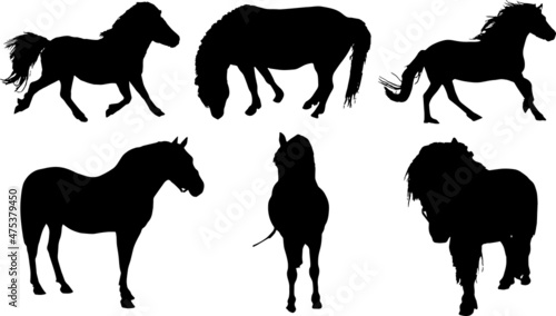 Fototapeta Naklejka Na Ścianę i Meble -  Pony Silhouettes SVG Pony Clipart