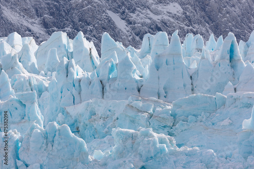 Southern Ocean, South Georgia, Drygalski Fjord, Resting Glacier. Details of ice in the Resting Glacier. photo