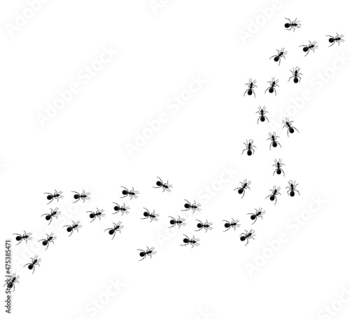 A path of ants running up. View from above. Vector illustration in flat cartoon style