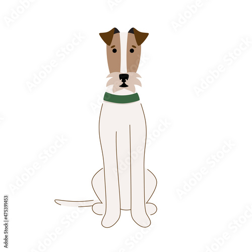Wire fox terrier isolated on white background. Vector illustration of a pet dog