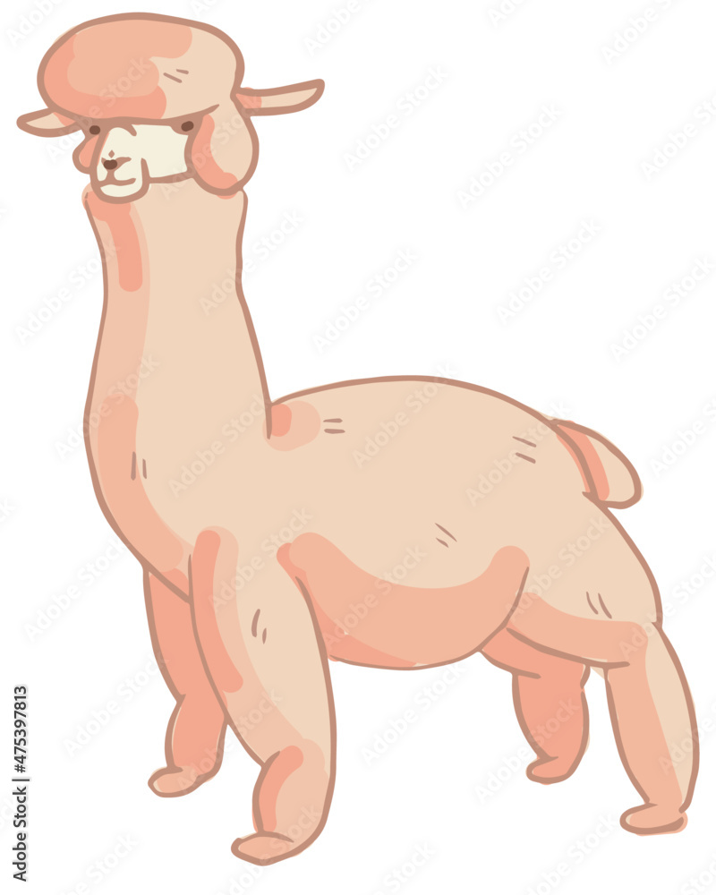 Vector illustration. Pink soft Alpaca