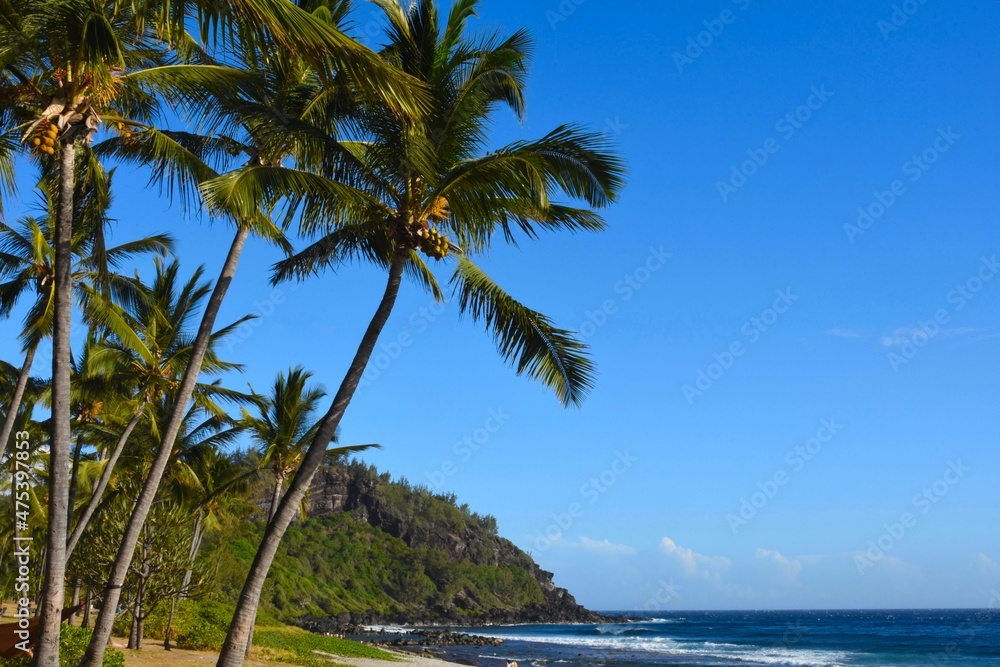 Grande Anse Plage, Ile de la Réunion, Océan Indien.