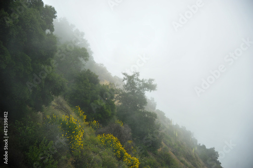 Mist and fog settles along the cliffsides of the Pacific Coastline on way to San Diego, USA