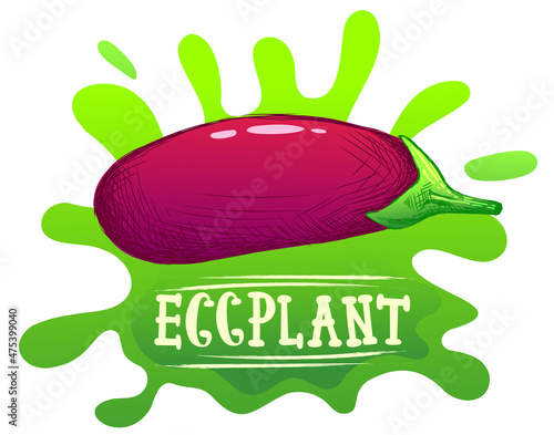 illustration of eggplant in bright colors, inscription or lettering with word eggplant. Illustration for advertising, banner, packaging or publishing recipes. Culinary illustration of vegetables