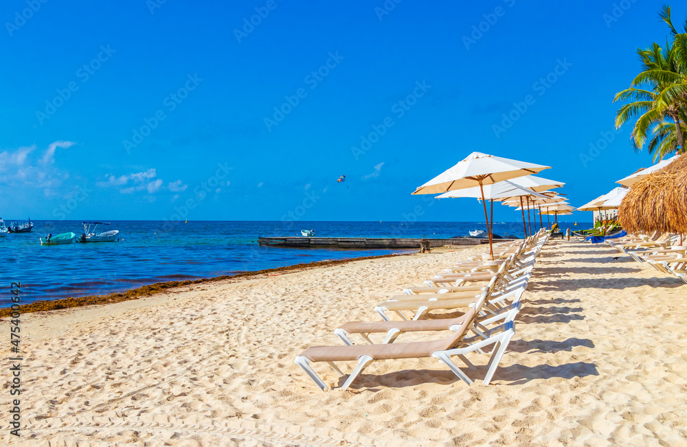 Fototapeta premium Palms parasols sun loungers beach resort Playa del Carmen Mexico.