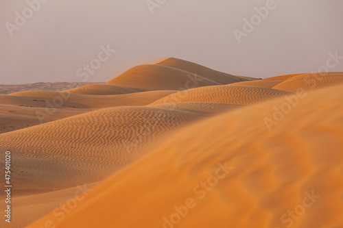 Fototapeta Naklejka Na Ścianę i Meble - Middle East, Arabian Peninsula, Ash Sharqiyah North, Bidiyah. Sand dunes in the desert of Oman.