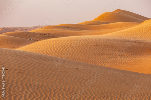 Middle East  Arabian Peninsula  Ash Sharqiyah North  Bidiyah. Sand dunes in the desert of Oman.
