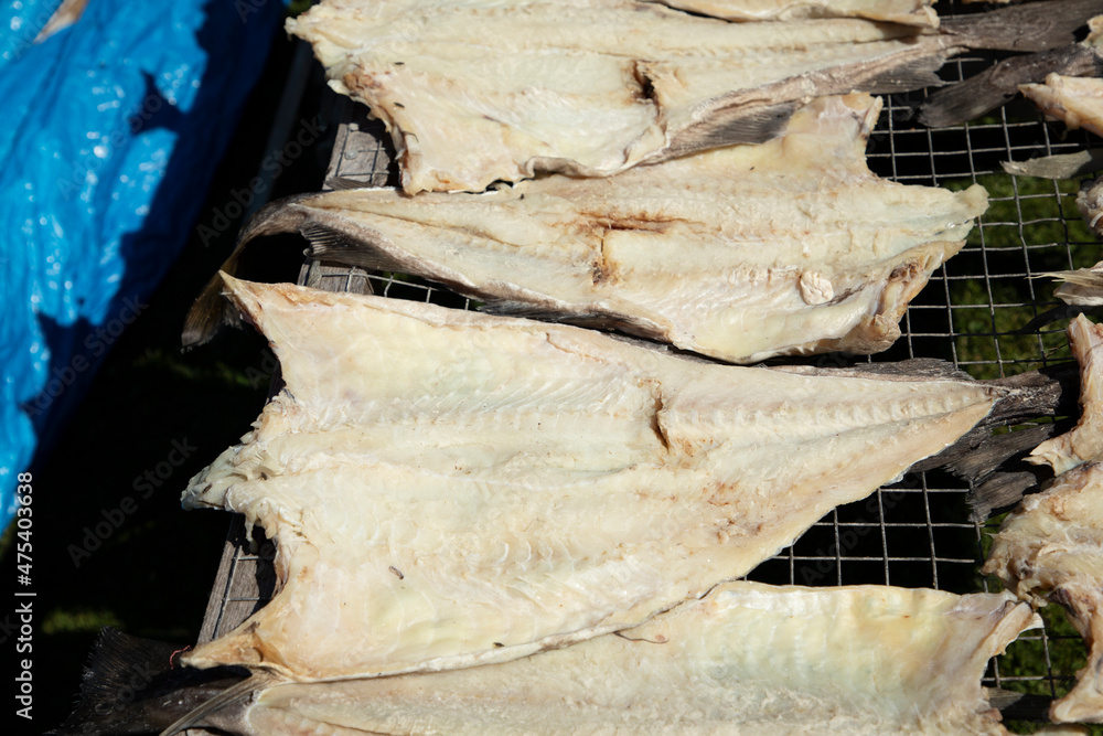 Canada, Newfoundland, dried codfish in Trinity