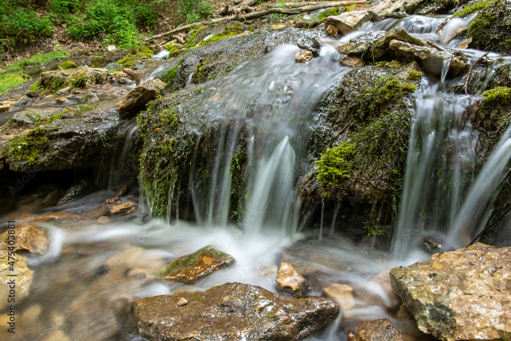 Fototapeta premium waterfall in the forest