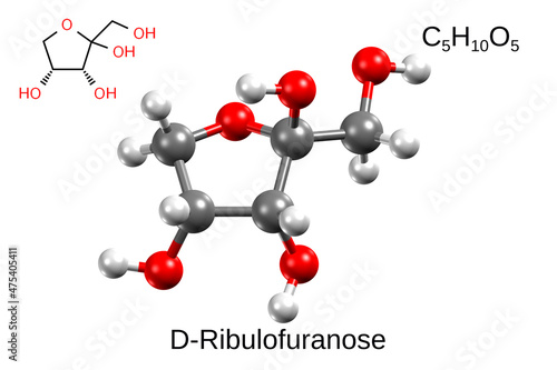 Fotografie Chemical formula, structural formula and 3D ball-and-stick model of alpha-D-ribu