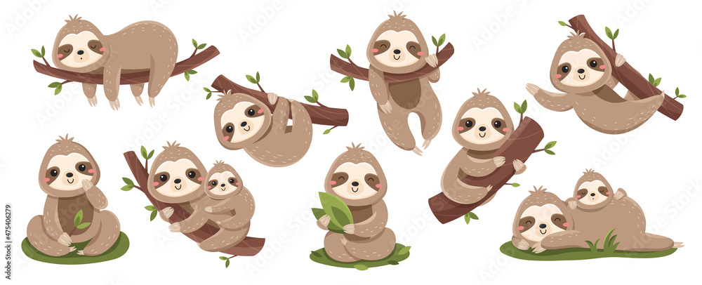 Fototapeta premium Set of cute baby sloths. Lazy wild animal lies on branch, climbs trees or eats green leaves. Design elements for stickers, social networks. Cartoon flat vector collection isolated on white background