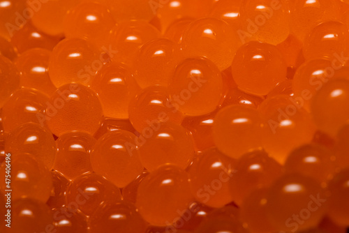 Atlantic Salmon eggs
