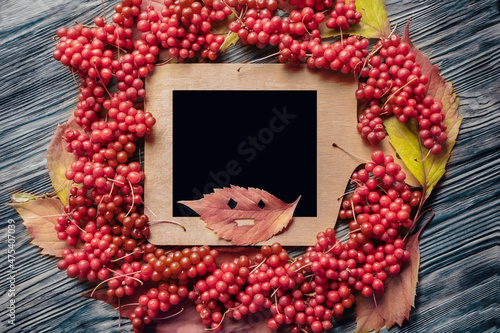Autumn background. Small red berries lie around an even place for the text. Bright berry background top view