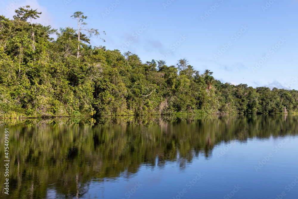 Landscape with the forest reflecting in the river in the brazilian Amazon region near Marajo island. Landscape with the forest reflecting in the river in the brazilian Amazon region near Marajo island.