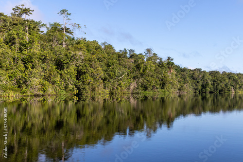Landscape with the forest reflecting in the river in the brazilian Amazon region near Marajo island. photo