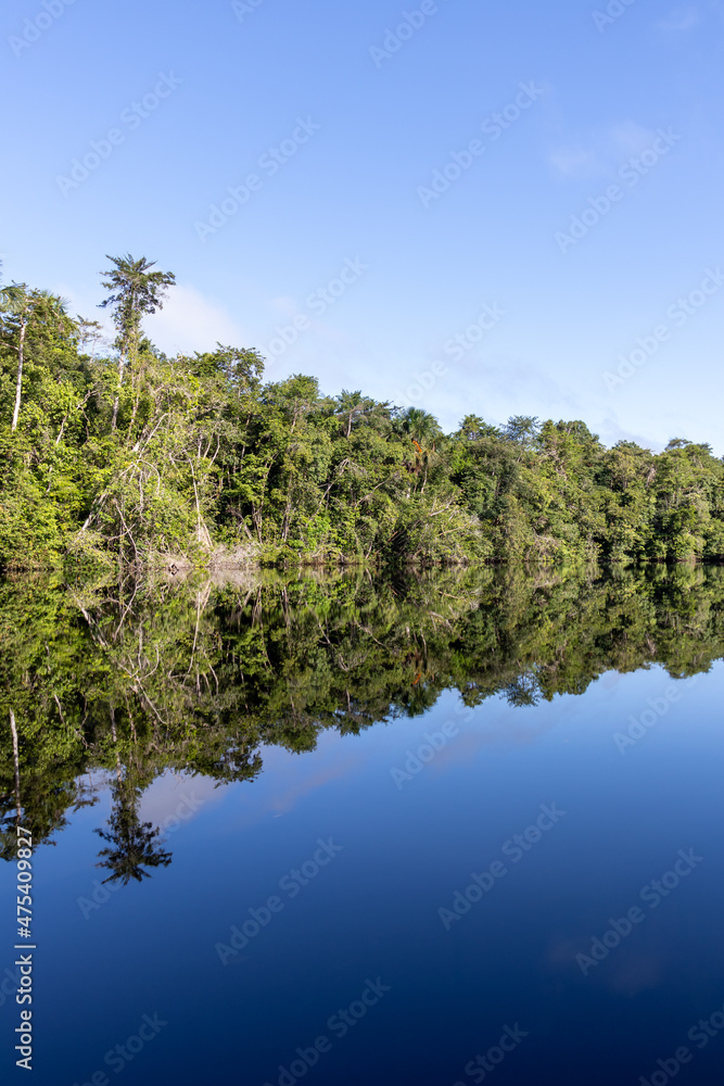 Landscape with the forest reflecting in the river in the brazilian Amazon region near Marajo island. Landscape with the forest reflecting in the river in the brazilian Amazon region near Marajo island.