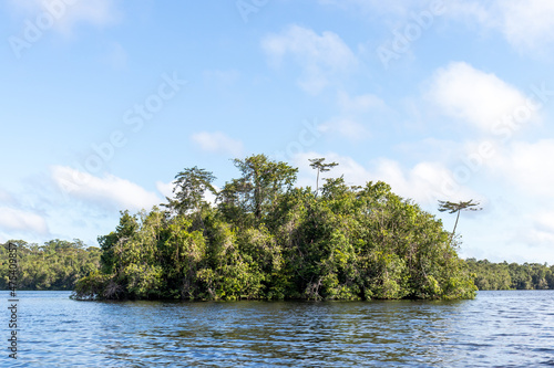 Landscape with a small island in a river in the brazilian Amazon region near the Marajo archipelago. photo